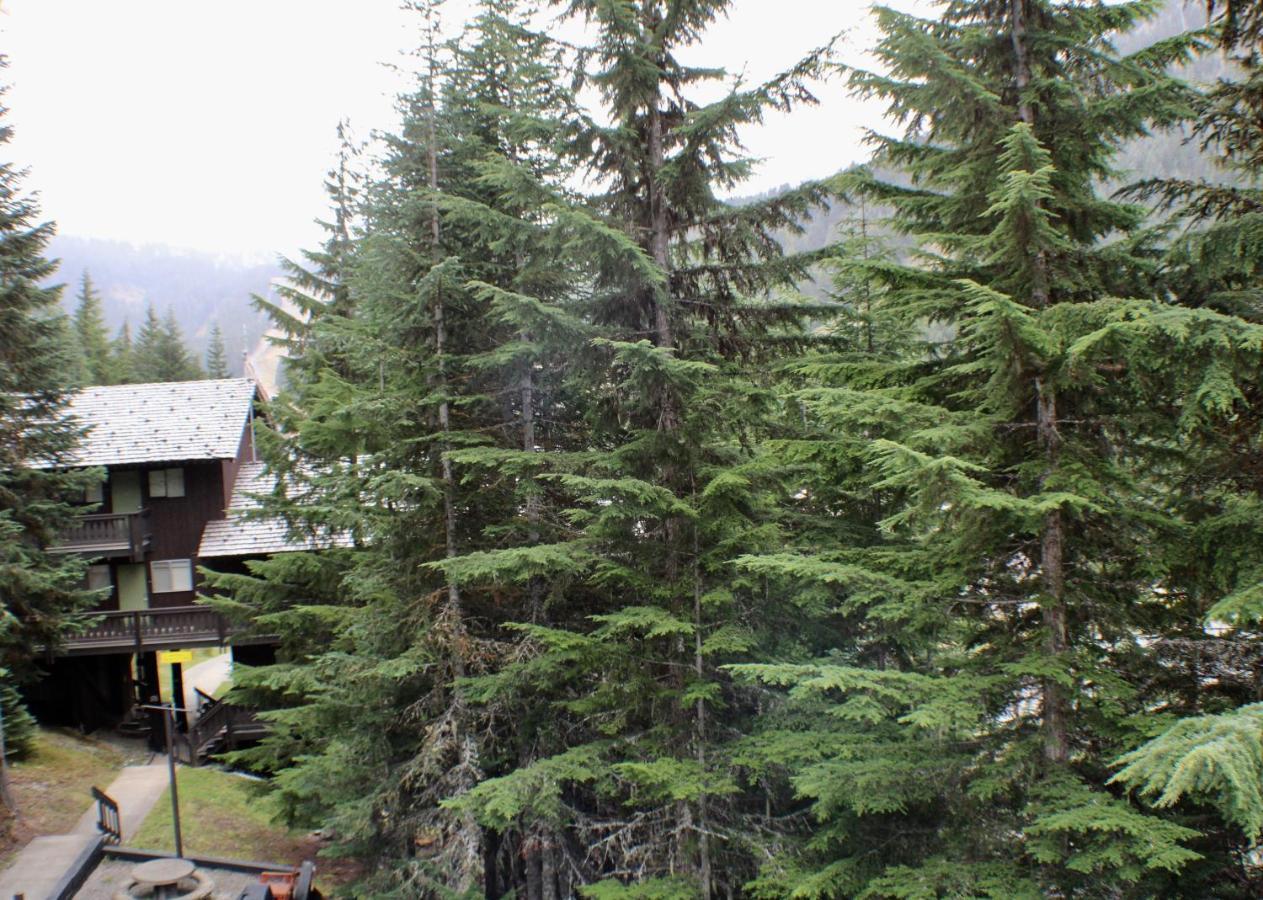 Crystal Chalets Greenwater Eksteriør billede