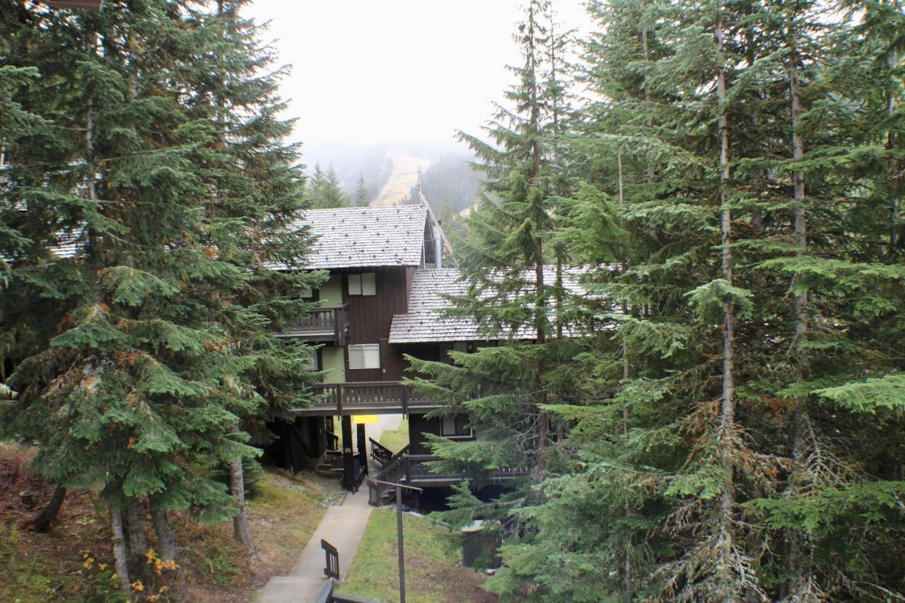 Crystal Chalets Greenwater Eksteriør billede